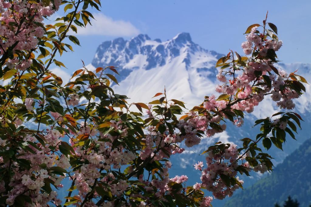 Panorama Hotel Kaserer Fischen im Allgaeu Dış mekan fotoğraf